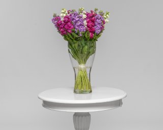 Маттиола яркий микс  small - 2
