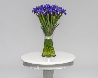 Ирисы синие  small - 2